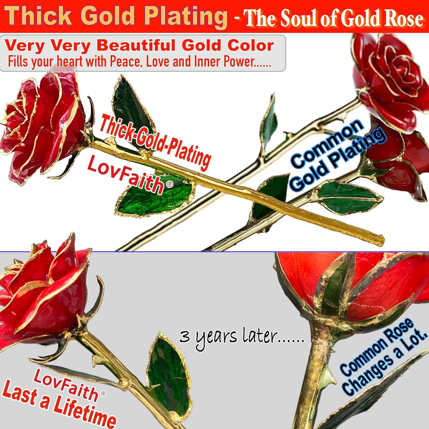 24K Gold Dipped Real Rose with Crystal Stand, Anniversary Valentines Day Romantic Gift for Her Wife Mom